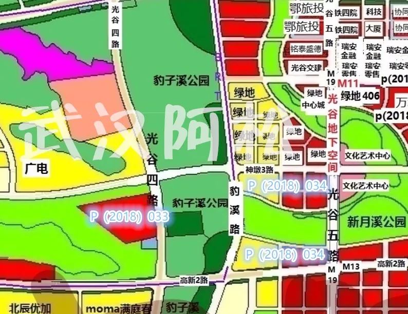 开挂了！比肩世界的爆款区域利好多到数不清！一般人已高攀不起