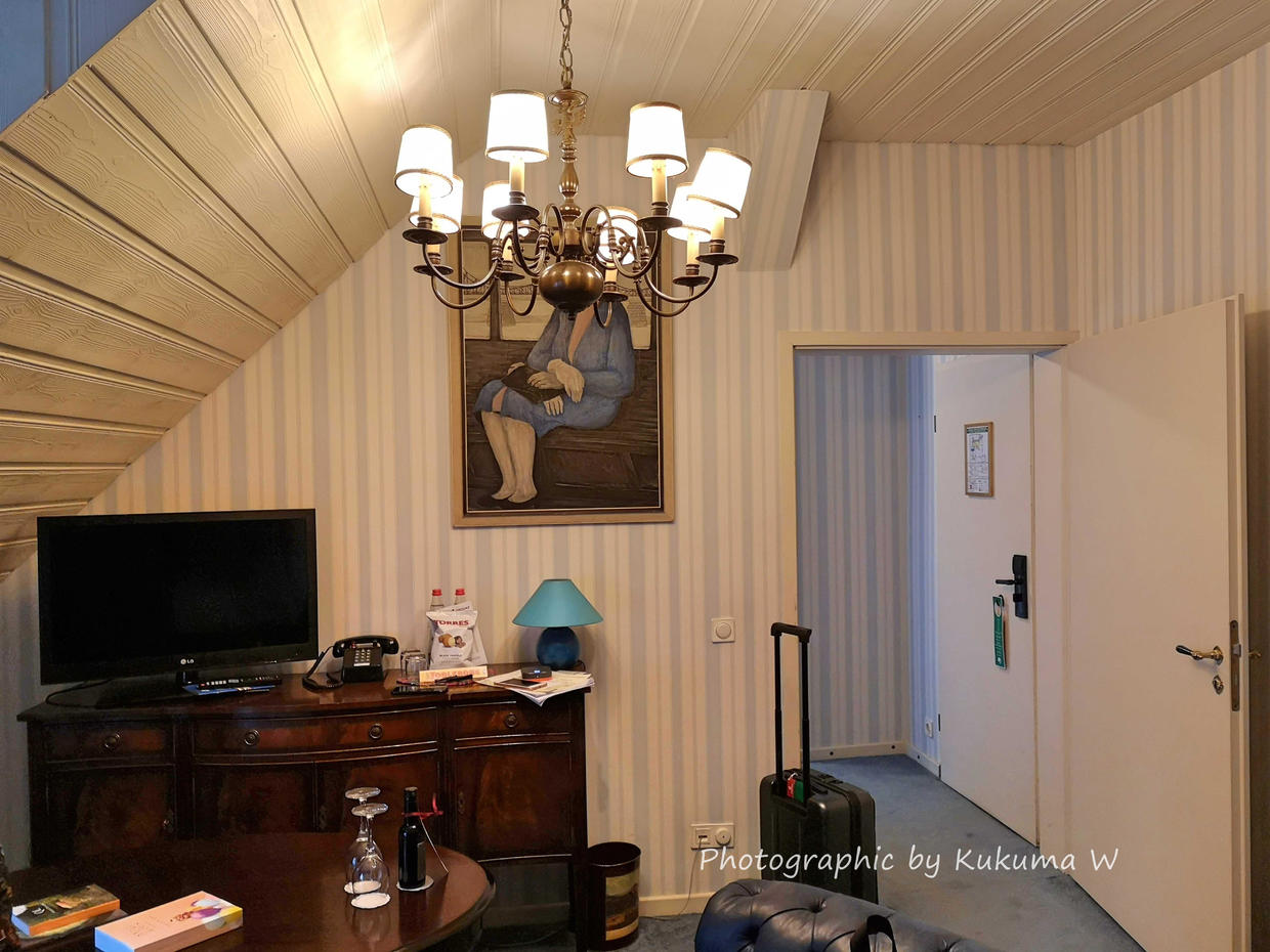 德国旅游住哪个酒店比较好,欧洲旅游住几钻酒店好