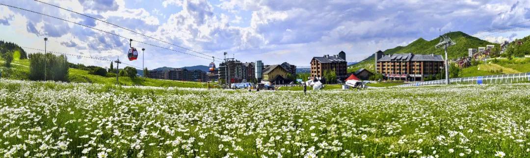 什么？考生与家长不能同框？