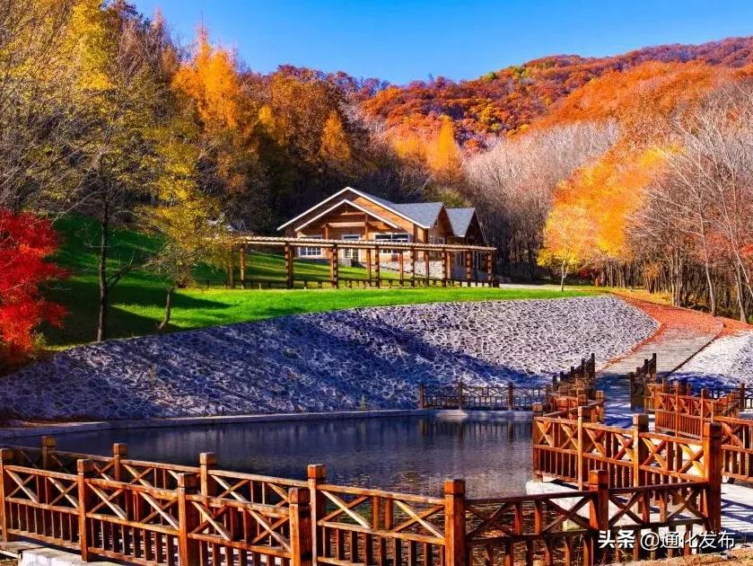 枫姿正好共赴一场云岭之约