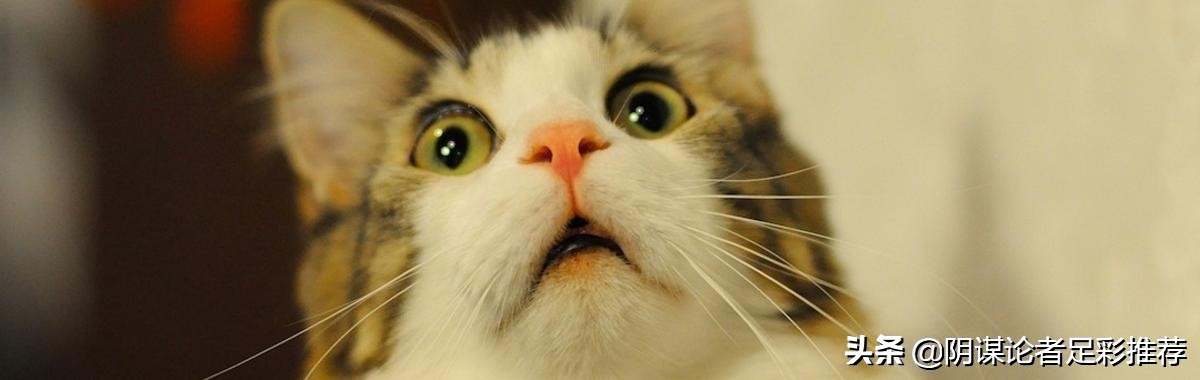 每日竞彩：卖分？盟友？共甘共苦.中超解析外加非洲杯一场