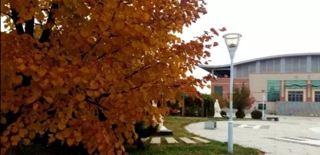 吉林省高校（二十一）长春中医药大学