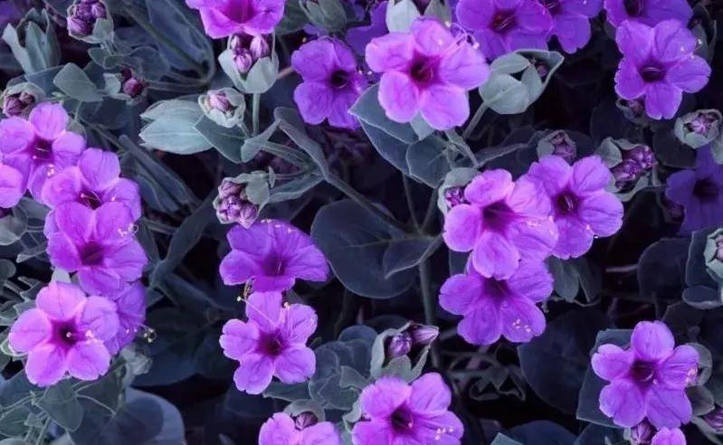 KONLEMCONTASS新品——唯物独钟唯她永恒