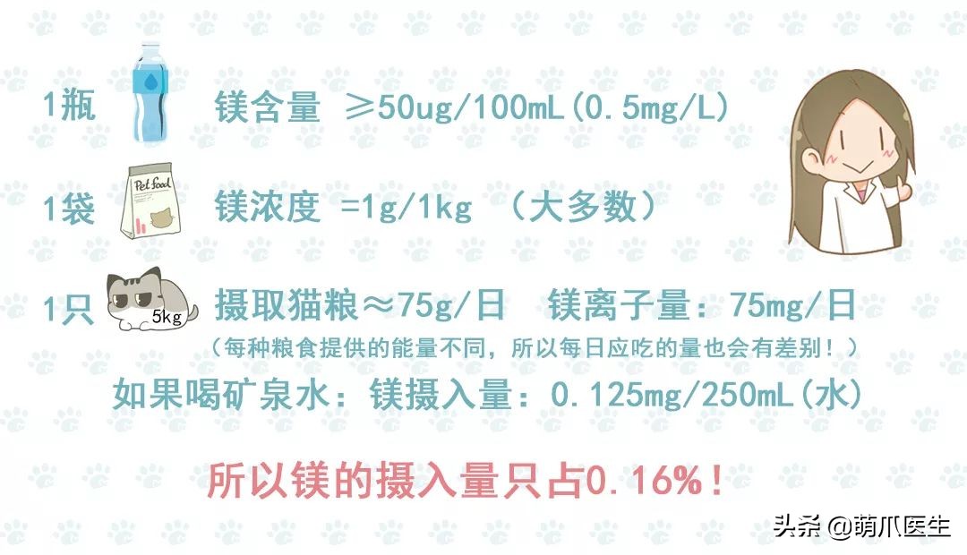 猫咪不铲屎有什么后果,猫咪不喝水不尿尿尿血