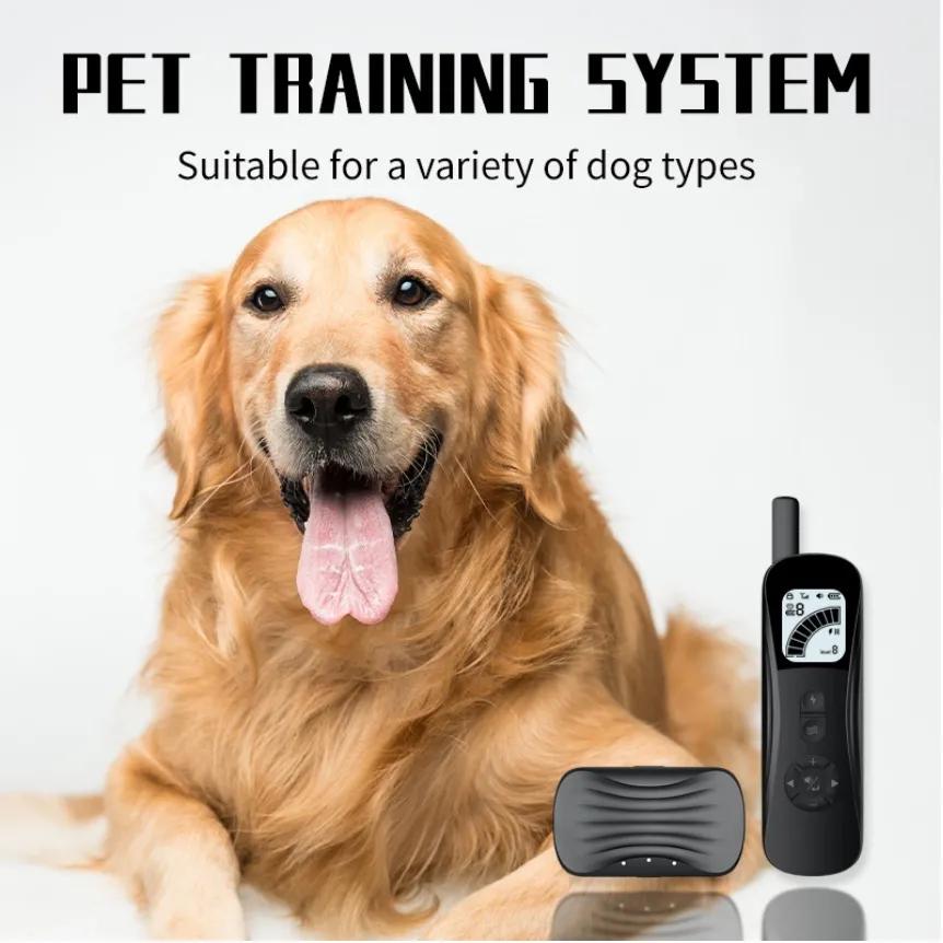 跨境电商货源渠道国内外发展趋势,东南亚跨境电商市场发展趋势