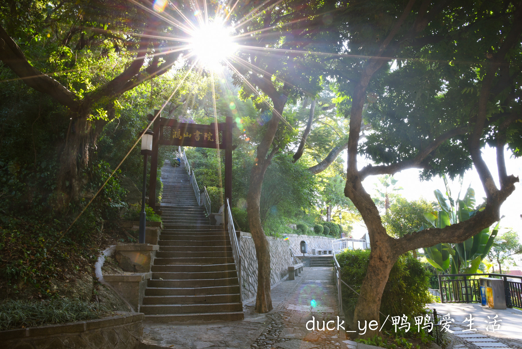 厦门最应该去的公园免费的,厦门十大经典公园