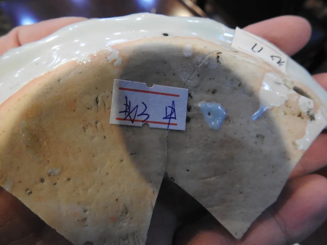 鍏冮潚鑺卞寽鐪熷搧鐗瑰緛,姘戠獞鍏冮潚鑺辩鐗瑰緛