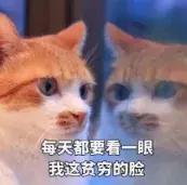 2019年郑州市在岗职工平均工资,郑州最低工资标准为什么比现实高