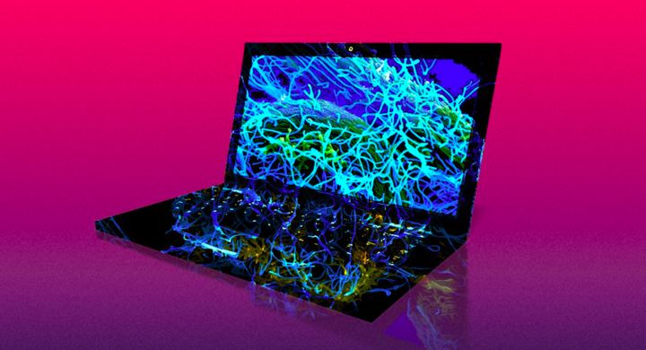 三星电脑拍出800万天价，只因中了名叫浪漫的病毒