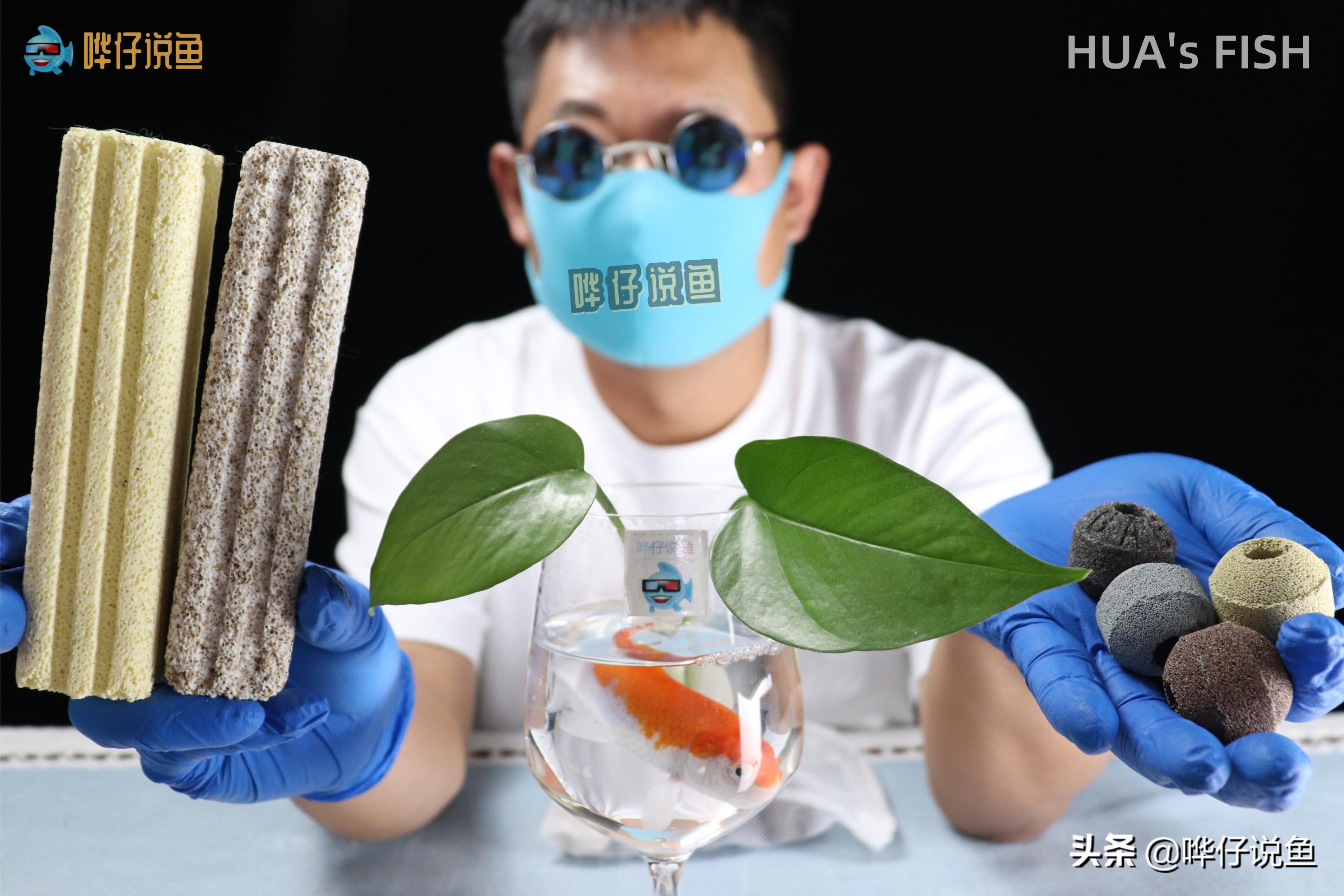 有人说，硝化细菌和鱼缸滤材都是水族圈的*局骗**，我觉得这话不靠谱