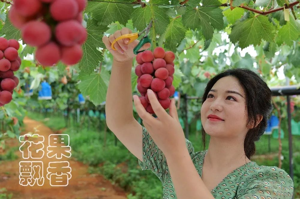 为什么大家都喜欢蹦迪,为什么喜欢跳坑