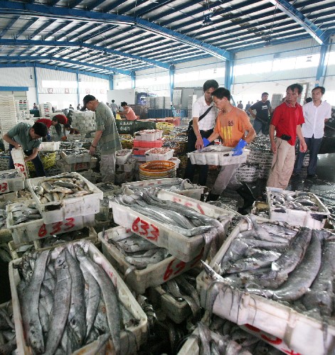 我，出海打鱼十五年，月薪1.2万，最后差点命丧大海