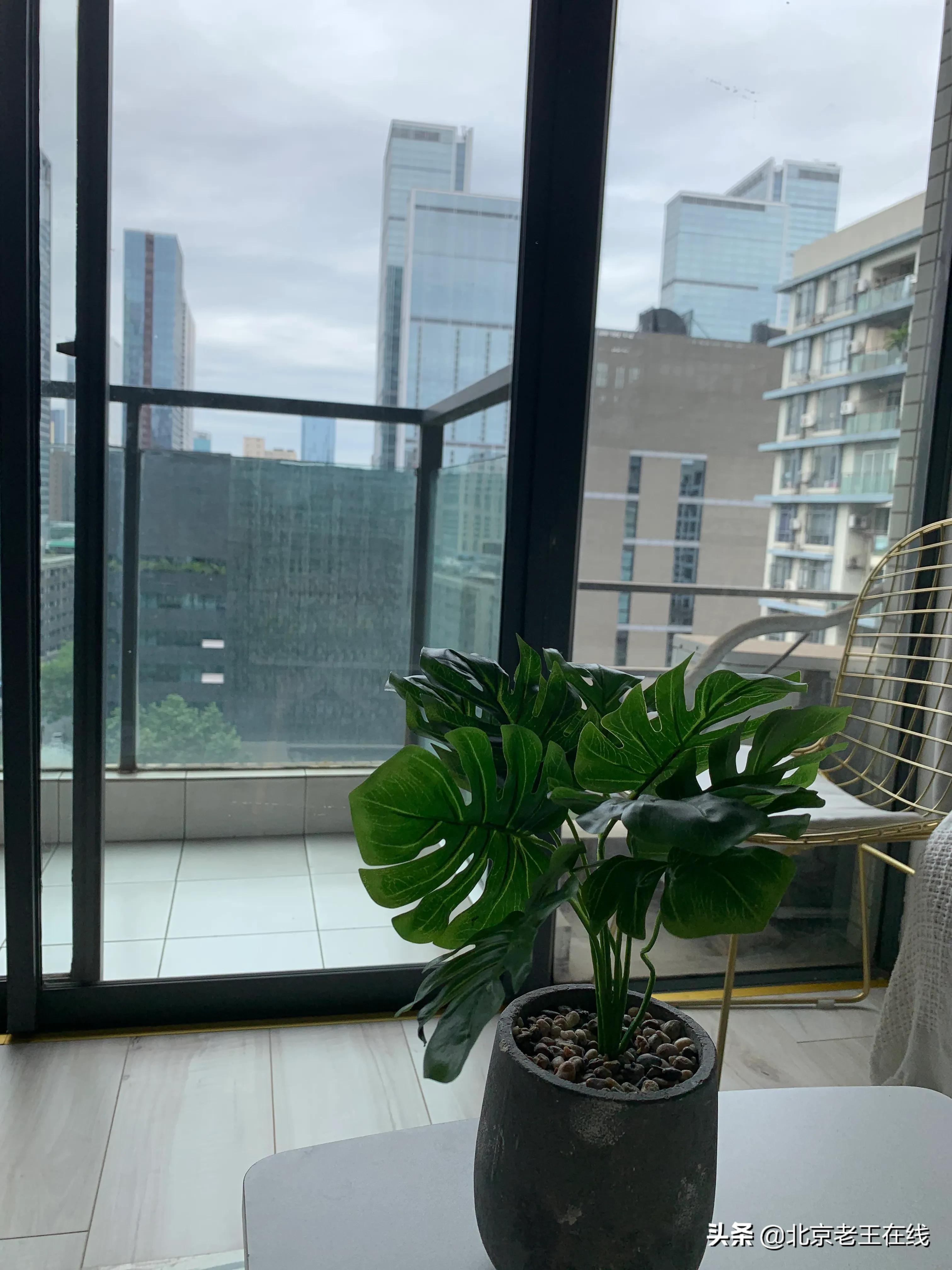 川渝8日出游,成都旅游如何选择民宿更安全