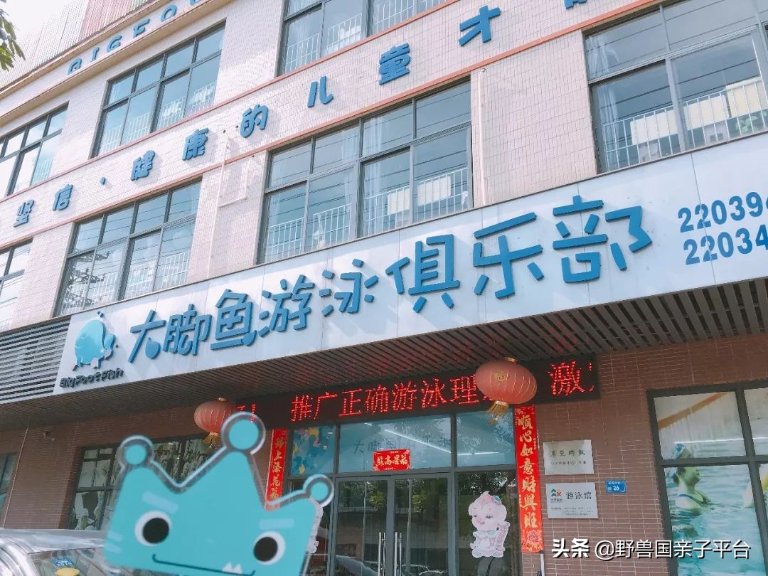 哪里学游泳最便宜又好,暑假学游泳去哪里学