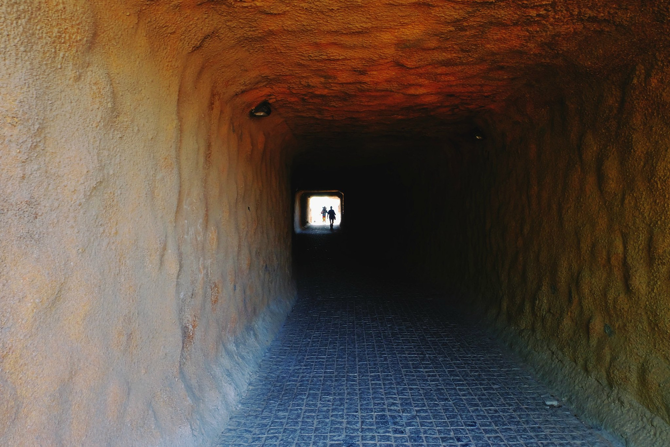 骆驼青岛,骆驼旅行在路上