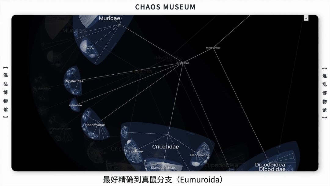 米老鼠是耗子吗,米老鼠原型是什么鼠