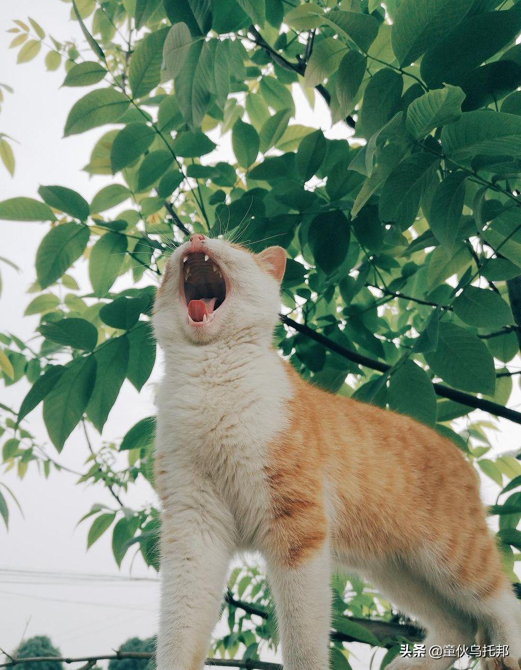 2021人间值得,2019人间值得