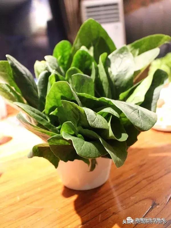 齐祺渔锅被举报,齐祺渔锅99元套餐新乡