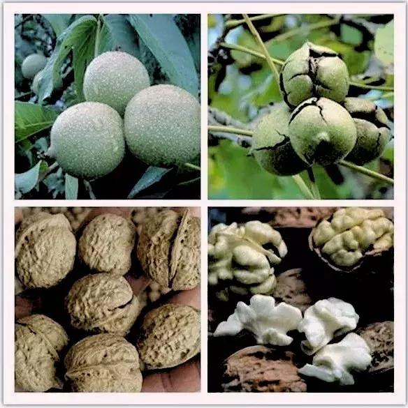 大理网红地方有哪些,云南大理网红景点洱海