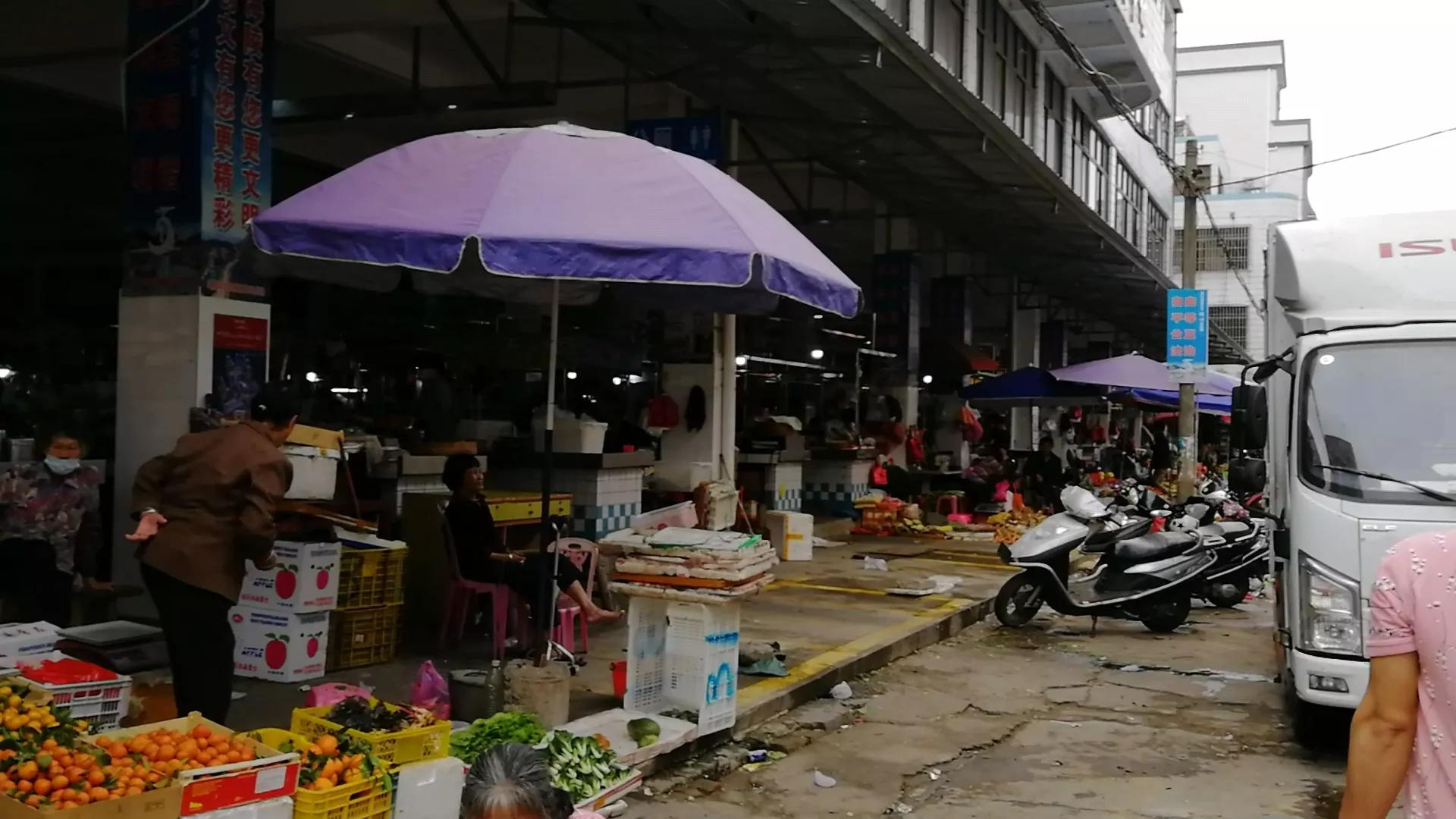 阳江海陵岛白蒲镇海鲜市场,海陵岛白蒲镇有什么好玩的地方