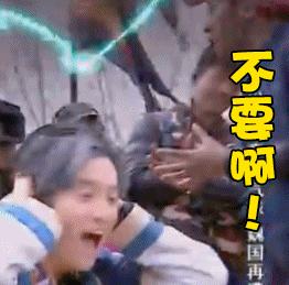 拳头大的“虫皇帝”悄悄潜入太原！国内无天敌！海关首次截获！一旦入侵后果难料