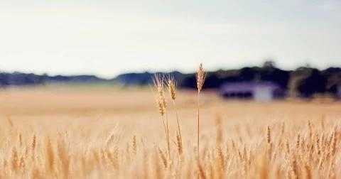 教育是父母的责任,教育是一个家庭的责任