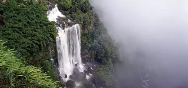 王充东山再起,王充渡劫期