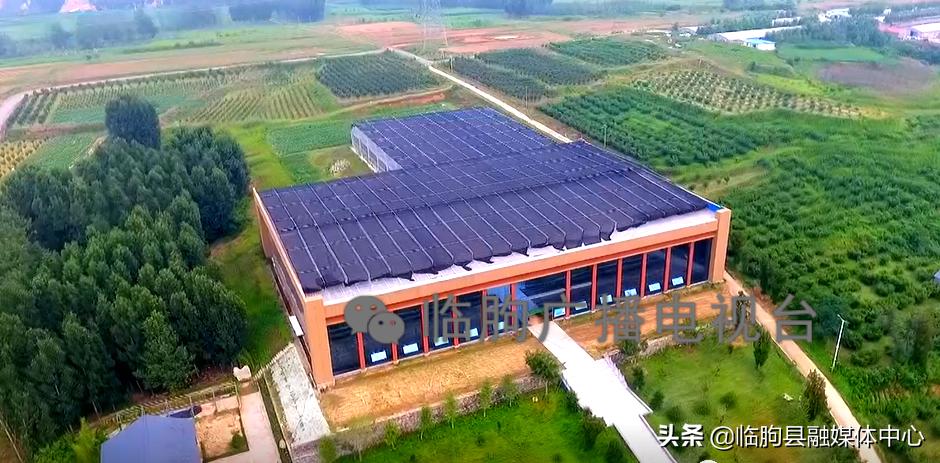 “绿满城乡·秀美临朐”系列报道（八）蒋峪镇篇：勇立潮头迎风起水墨蒋峪谱新篇