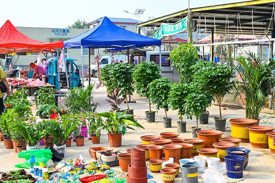 满满的烟火气逛大集真好玩,最值得逛的大集