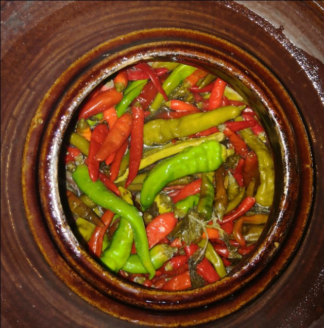 炎炎夏日，吃坛子菜，开胃又爽口