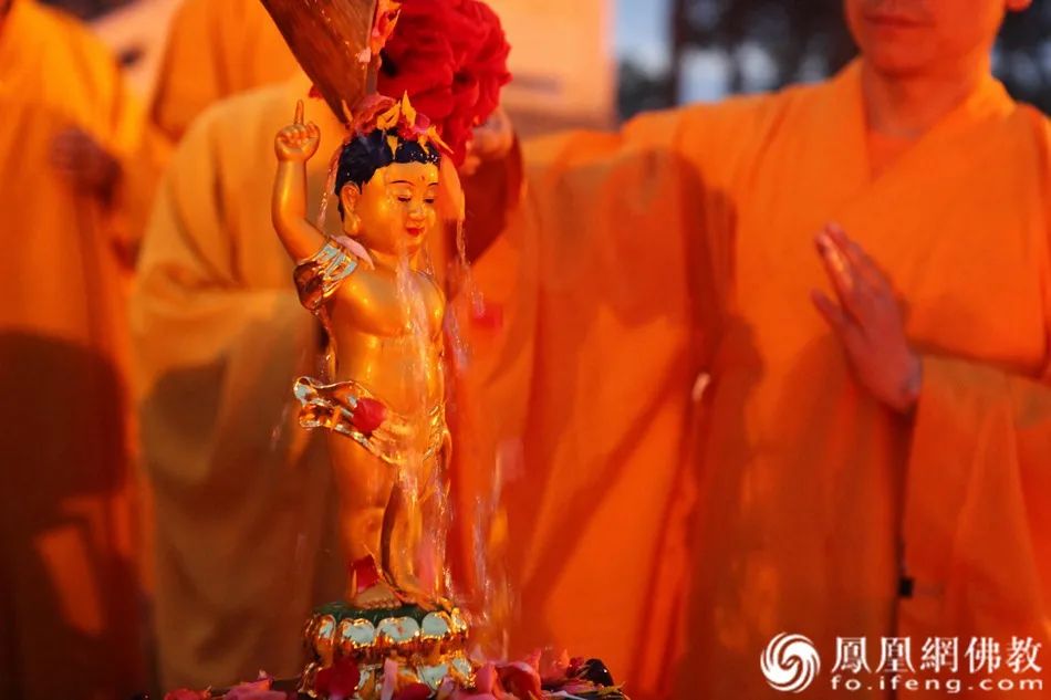 佛法怎么解决这次疫情,疫情期间如何欢度佛诞节