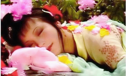 红楼梦群芳夜宴花语,红楼梦花语解读