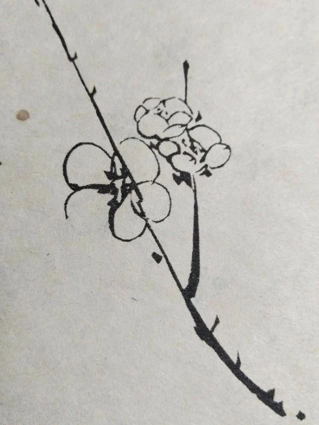 梅花该怎么画才好看,梅花用什么笔画最好看