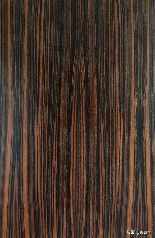 装饰材料木皮有哪些,装饰木皮有哪几种