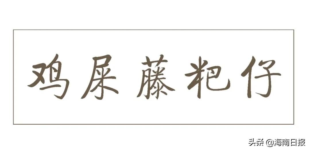 海南到底有多少种buǎ？恐怕连海南人自己都数不清……