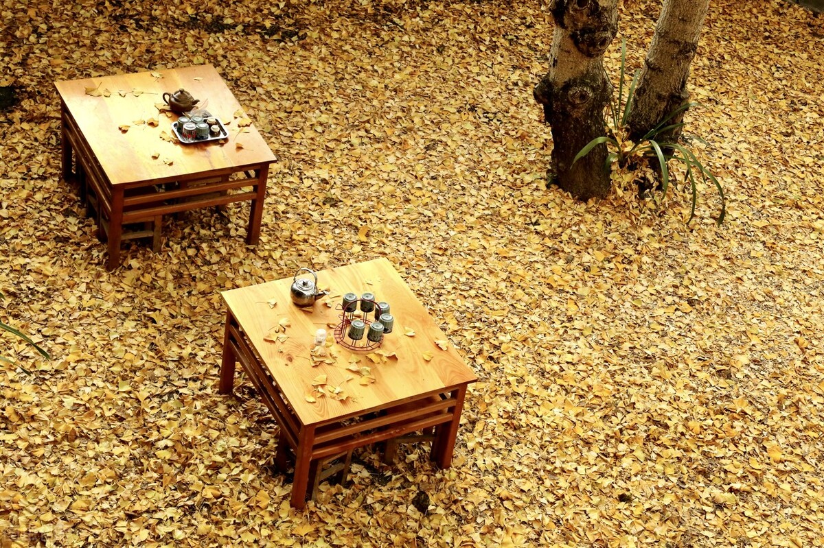 带你看遍云南的美景,风景绝美的云南小众目的地