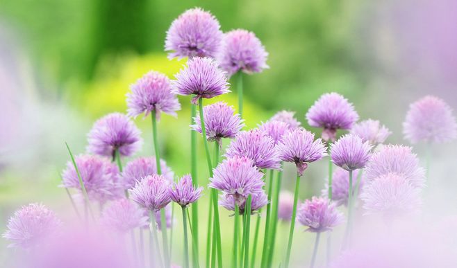 拨云寻古道倚石听流泉,拨云寻古道倚树听流泉横批