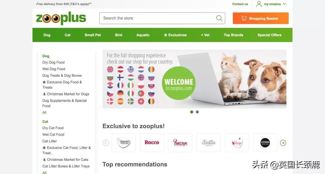 在英国哪里可以买宠物,英国如何饲养宠物猫咪