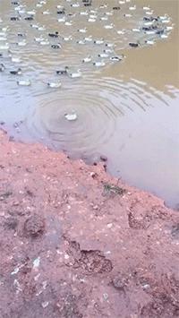 如何看supreme真假辨别,如何辨别supreme真假