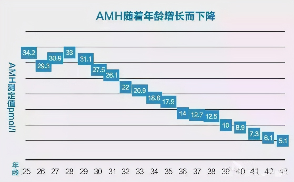 amh测的是卵子还是卵巢功能,amh值怎么判断多囊