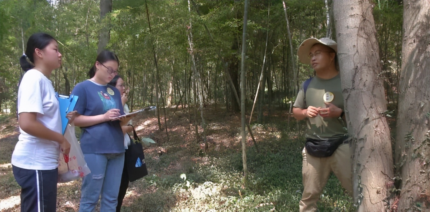 自然科学实验与创新课题,生态课题研究方案