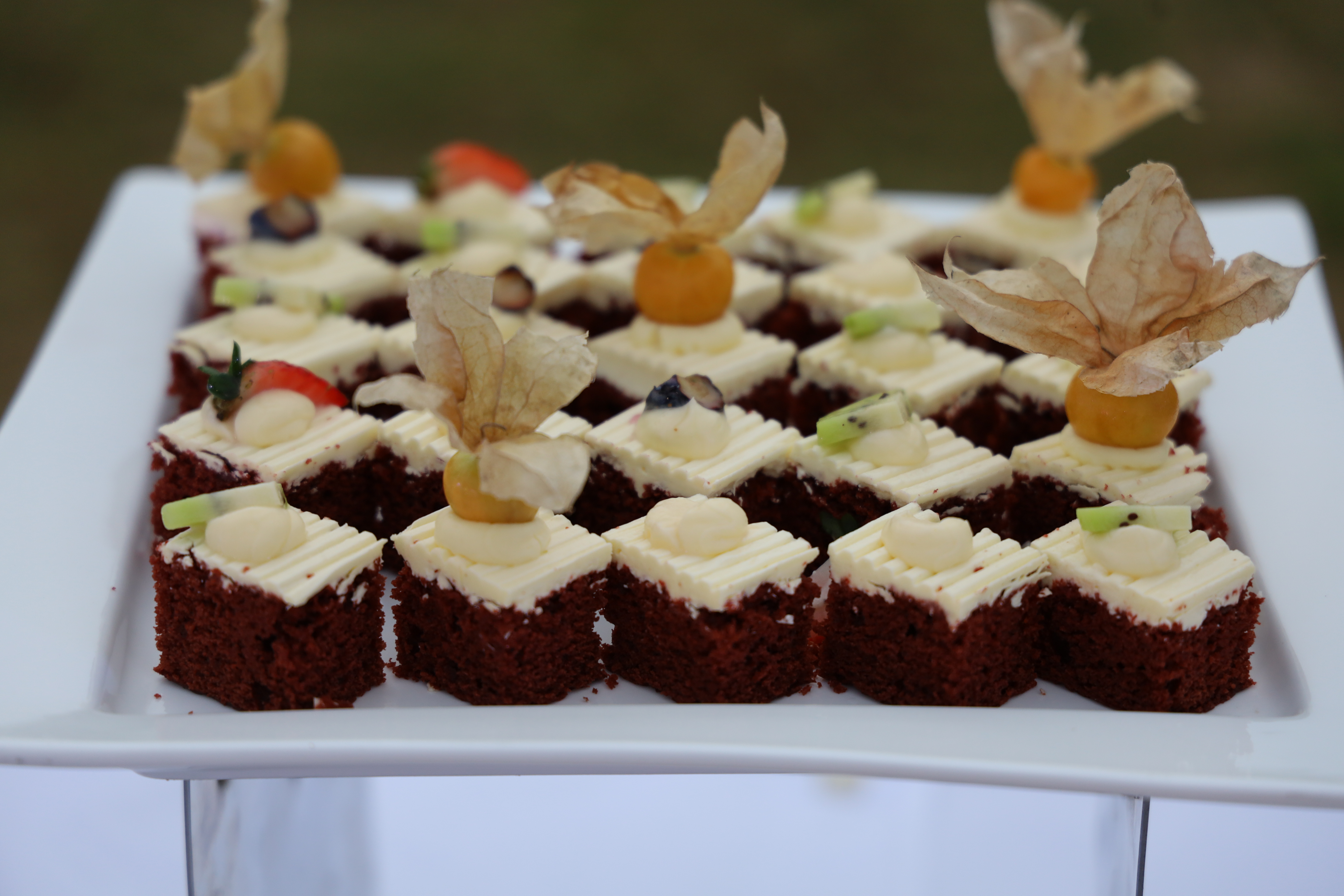 无锡鲁能万豪,拥抱绿色享受阳光