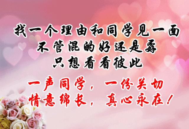 好久没见面了老同学想你了,老同学是我一生的牵挂