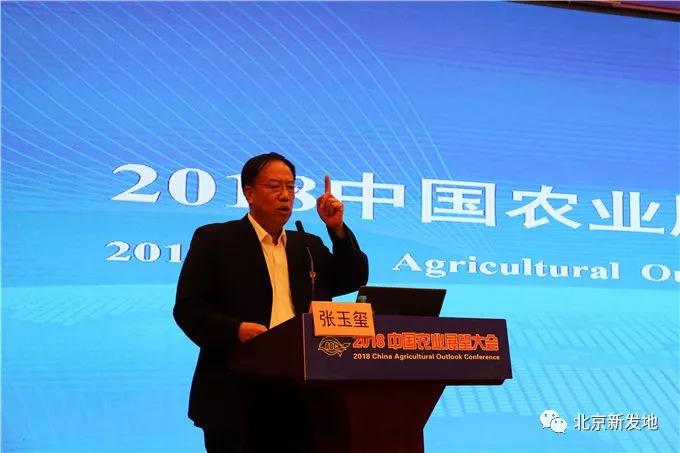 新发地集团运营模式,新发地市场发展史