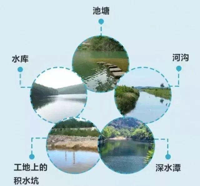 辽宁6名小学生溺亡事件,辽宁学生溺亡