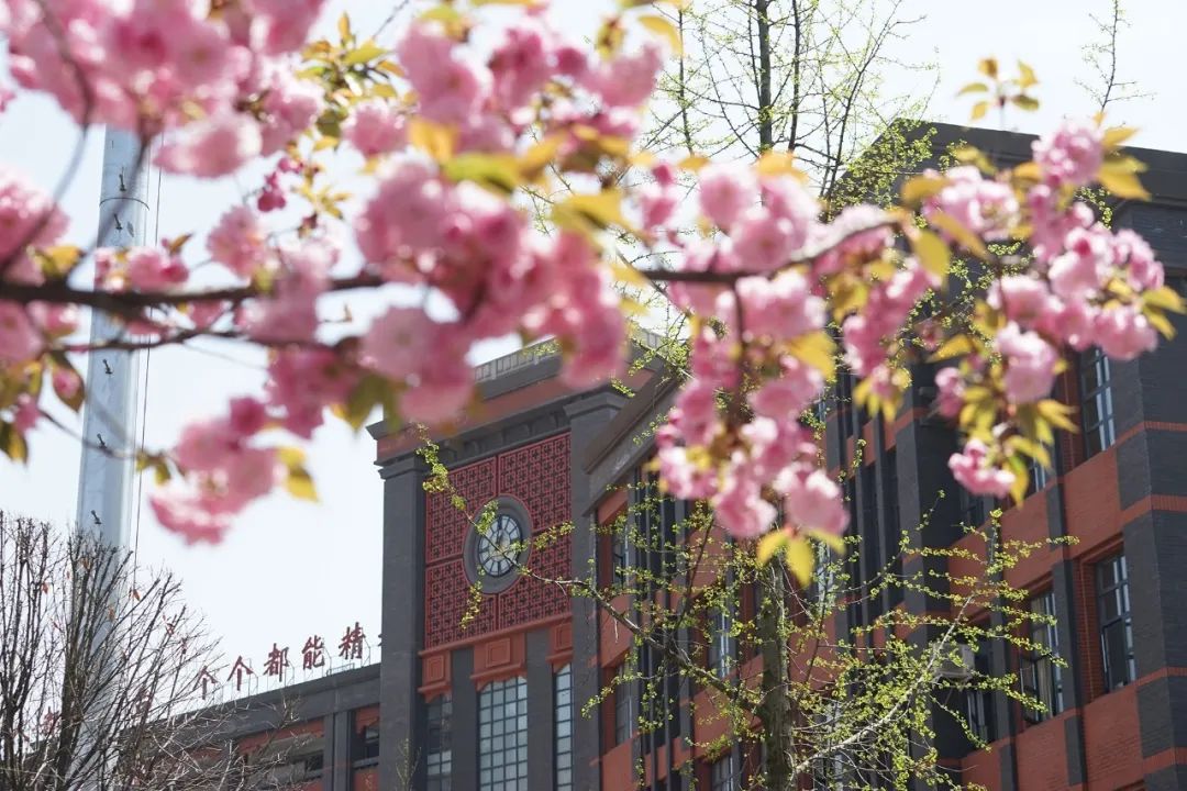 没有好初中只有一般人能上高中吗,没有上好学校而后悔