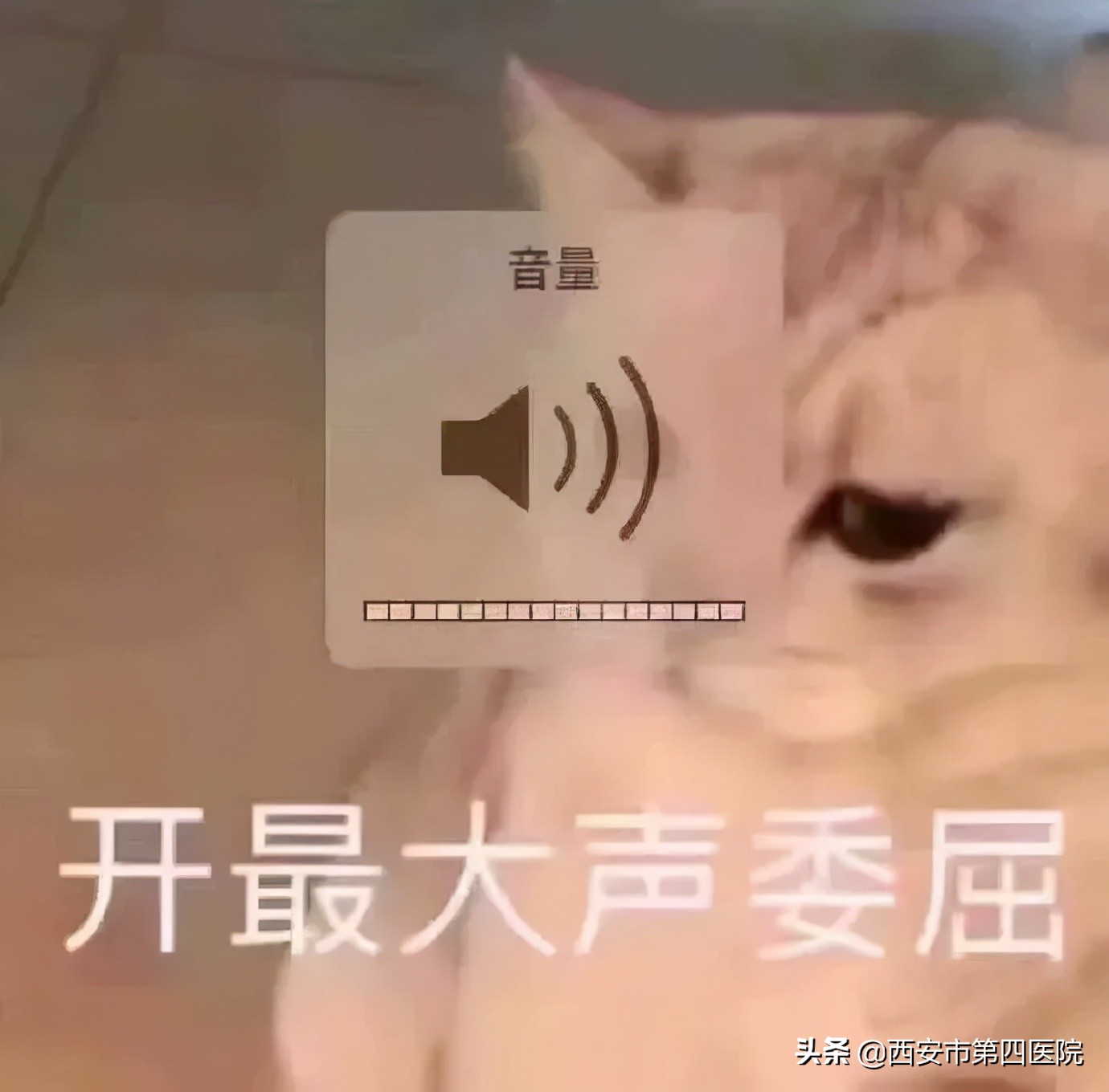 健康中国2030预防大于治疗,健康中国行动新生儿科