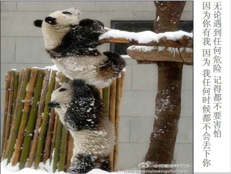 我只想说声爱你,只想再爱你一次