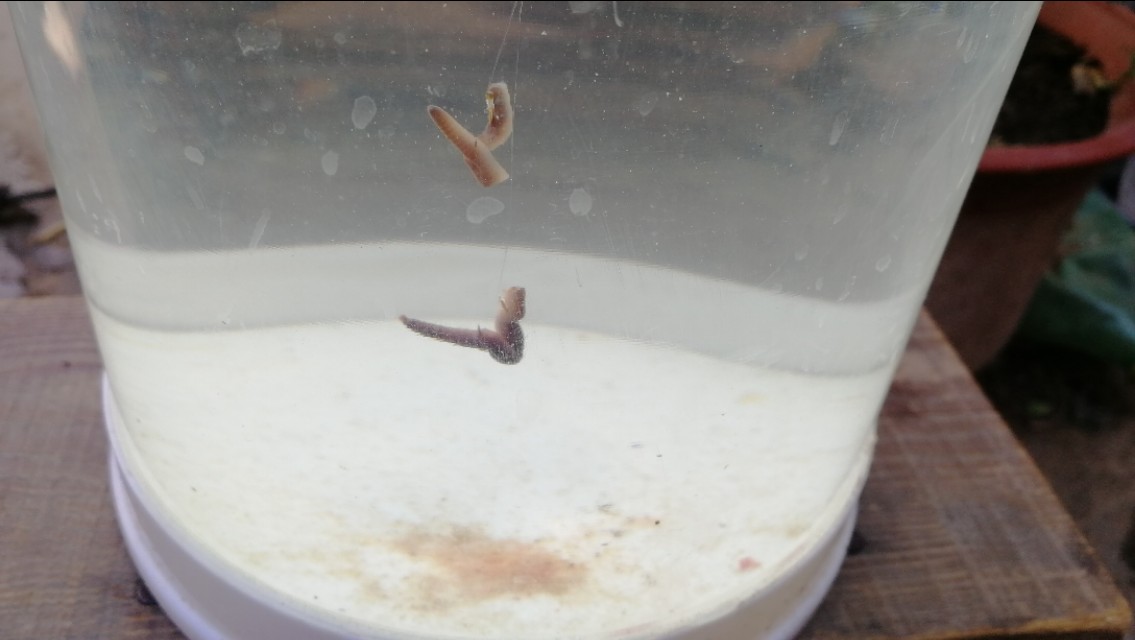 全网最快调漂不接受反驳,五步调漂的正确方法与技巧