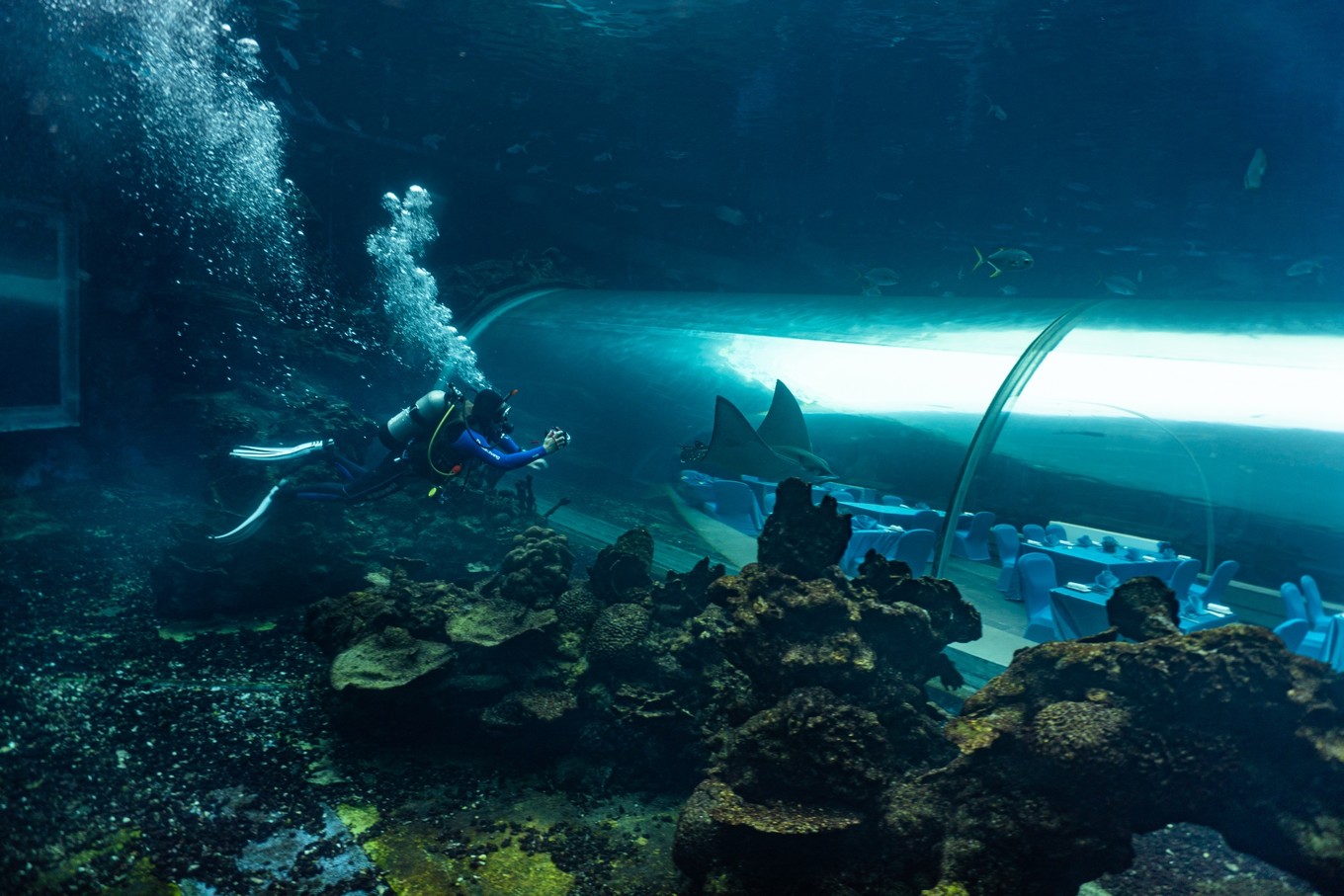 三亚学潜水机构推荐,三亚学潜水哪个最专业